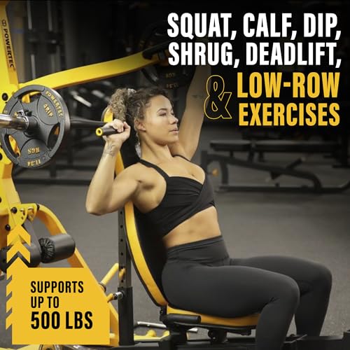 Powertec Fitness Workbench LeverSystem - Workout Bench, 500 LB Weight Capacity, Black - Gym Equipment for Home - Adjustable Full Body Workout Machine