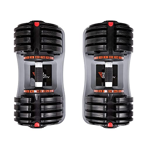 Nonzero Gravity PowerDyne Adjustable Dumbbell Weights (Coal 80lbs (Set of 2))
