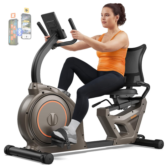 Niceday Recumbent Exercise Bike, Recumbent Bike for Home, Recumbent Stationary Bike 400LBS Weight Capacity, Magnetic Recumbent Bike with Smart APP, LCD Monitor, Heart Rate Handle