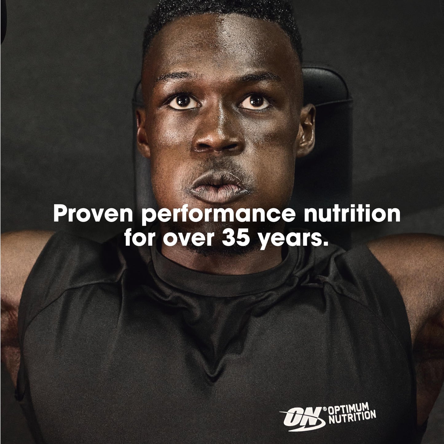 Optimum Nutrition Gold Standard 100% Whey Protein Powder, Cinnamon Roll, 2 Pound (Packaging May Vary)